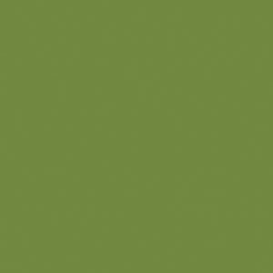 Billede af DUNI GO Serviet 3-lag 33x33 cm Leaf Green 1000 stk (186359)