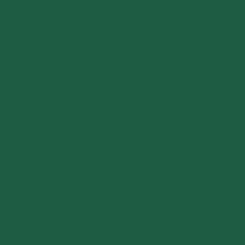 Se DUNI GO Serviet 3-lag 24x24 cm Mørkegrøn 2000 stk (168417) hos BLITE