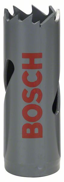 BOSCH Professional Hulsav 19mm (2608584101)